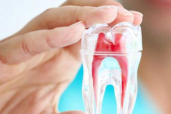 Endodoncia Dentastic
